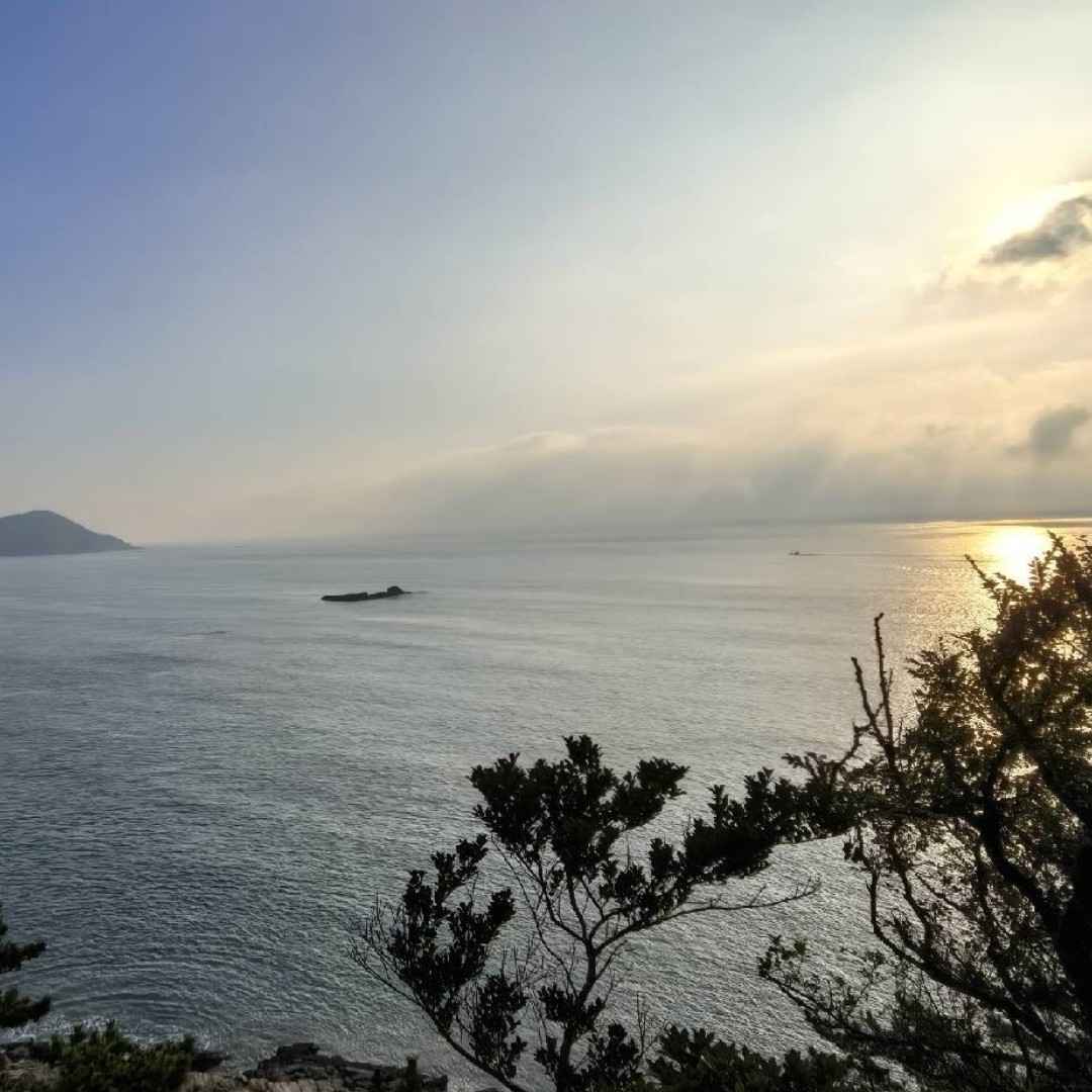 小刘同学